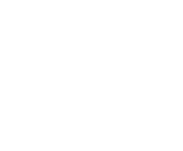 Evolution games at Mrx Bet Casino